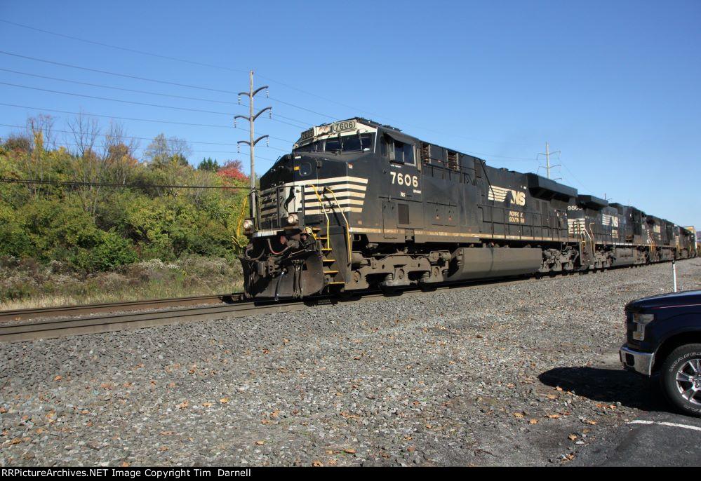 NS 7606 leads 29G